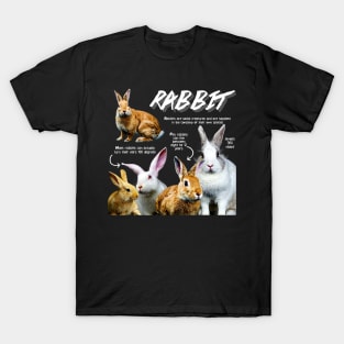 Rabbit Fun Facts T-Shirt